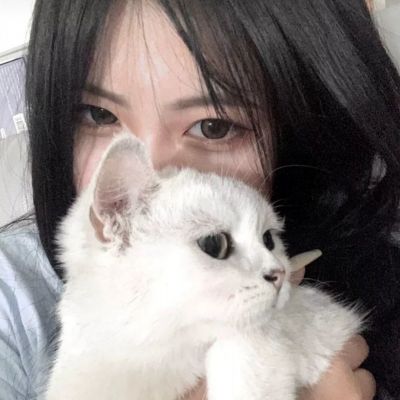 修仙问情手游官方版下载